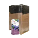 Moorbeet Erde