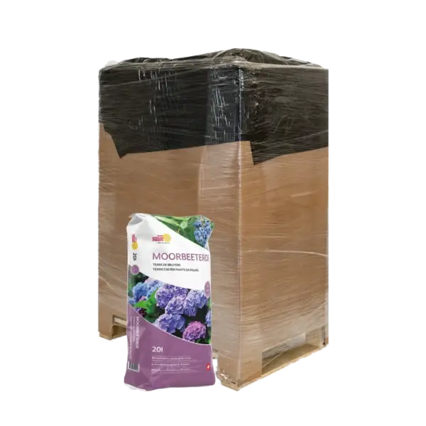 Moorbeet Erde – Bild 5