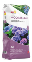 Moorbeet Erde
