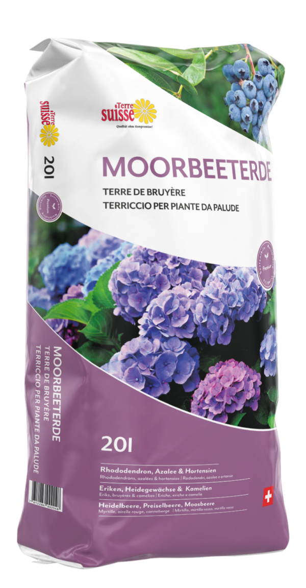 Moorbeet Erde – Bild 4