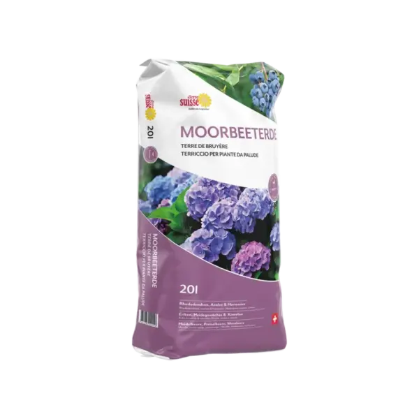 Moorbeet Erde – Bild 3