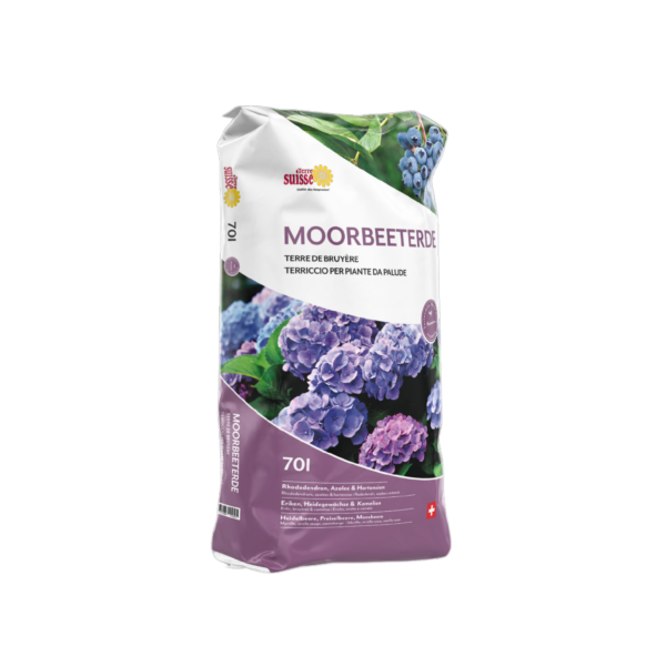 Moorbeet Erde – Bild 2