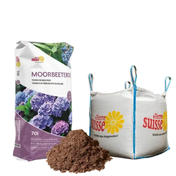 Moorbeet Erde